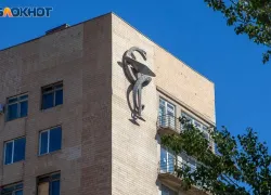 В Волжском организовали служебную проверку по факту бранных слов в Фишера