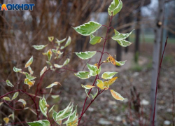 Анна Темная: какие запреты нельзя нарушать и что сулит день