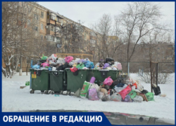 Куда исчезли мусоровозы? В Волжском коммунальная система дала сбой, завалив дворы мусором