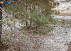 Слабая буря накроет Волжский в четверг