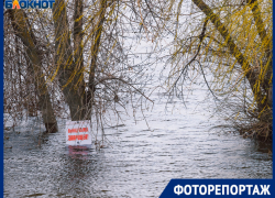 Красоту природы беспощадно уродует человеческая халатность