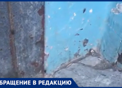 Тараканы захватили целый дом в Волжском: видео