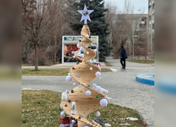 Волжский экопарк показал необычную елку