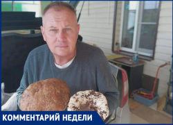  Где в Волжским искать грибы и как не отравиться: советы специалиста