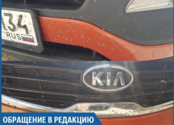 Ощущение, что мэрия специально нас испытывает, - волжанка