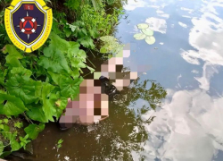 В Волгоградской области нашли тело мужчины в реке Медведице