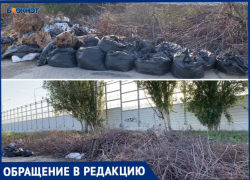«Выглядываешь в окно, а там свалка»: волжане жалуются на большое скопление мусора