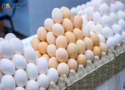 Обзор цен на «золотые яйца» в Волжском: где покупать выгоднее