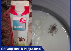  «Я хочу опровергнуть свои слова про паука»,- волжанка