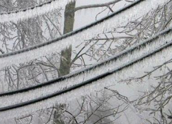 В Волгоградской области 26 населенных пунктов из-за наледи остались без электричества