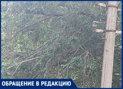 «Провода скоро оборвутся»: жители дома в Волжском бьют тревогу