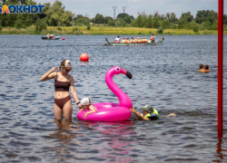 Август начнется с тепла и засухи в Волжском