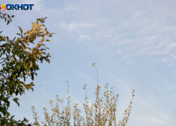 Утро сегодня - не лучший союзник: гороскоп на 30 января