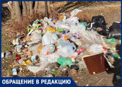 В старой части Волжского образовался мусорный коллапс: фото
