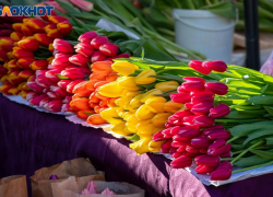 Нежный праздник в суровых буднях: школьники Волгоградской области поздравили женщин-криминалистов и спасателей