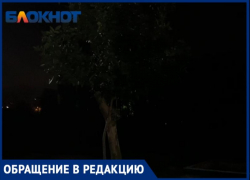 «Ходим с фонариками»: в 23 микрорайоне Волжского жители живут во мраке 