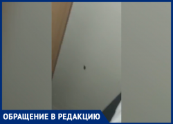 Беременной волжанке не поставили капельницу и поселили к тараканам в больнице Фишера в Волжском