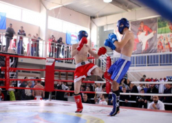 Золотые медали получили волжане на чемпионате ЮФО по кикбоксингу