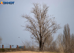 В Волжском похолодает до +9 градусов