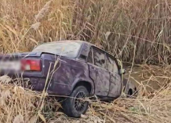  Подросток за рулем, водоем и погибшие дети: глава СК Бастрыкин требует доклада по ДТП в Волгограде