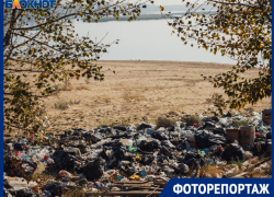 Волжане среди отходов - на месте городского пляжа теперь свалка