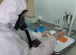 Что известно о тест-системах на COVID-19 в Волгоградской области