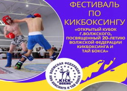 В Волжском пройдет фестиваль по кикбоксингу