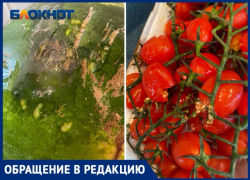 «Гнилой арбуз и мятые помидоры»: волжане продолжают жаловаться на доставку продуктов.