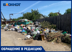 Волжский тонет в мусоре: жители ДНТ «Труд» бьют тревогу