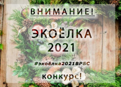 Волжан приглашают принять участие в конкурсе «Экоелка 2021»