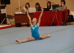 В Волжском отметили Всероссийский день спортивной гимнастики