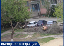 "Зеленые ветки спилили и бросили, а сухостой стоит",- волжанка