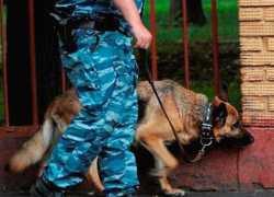 Пьяный житель Волжского «заминировал» жилой дом