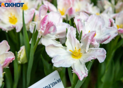 Энергетика дня подтолкнет к теплу: гороскоп на 19 ноября