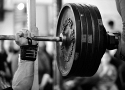 Волжане завоевали 31 золотую медаль на Кубке России по пауэрлифтингу