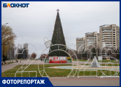 Десятки елок в разных уголках города: Волжский готовится к Новому году!