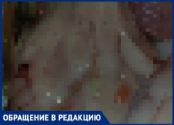 Жительница Волжского обнаружила подозрительных паразитов в заказанной рыбе