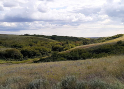 Редкие находки и тысячи километров пути: чем завершился сезон полевых исследований ботанического сада