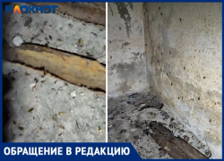 Тараканы и провода в фекалиях: очередной ад в подвале волжского тысячника