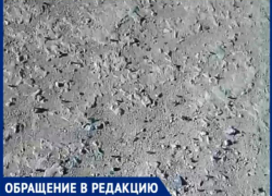 «На Волжский надвигаются полчища саранчи», - волжанка