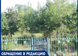 «Устроили какой-то клещесбор», - волжанка