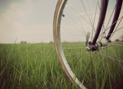 Безработный зэк из Волжского промышлял кражами велосипедов