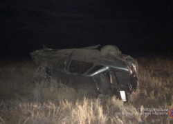 Водитель на "Приоре" сбил лошадь и опрокинулся в Ленинском районе: 2 в больнице