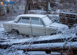 Слабая буря и потепление: какой будет погода в Волжском