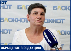 Волжские садоводы просят помочь разобраться в ситуации с руководством СНТ