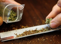 У волгоградца в шкафу нашли 13 пакетов марихуаны