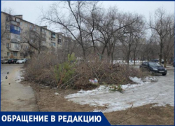 Свалку из веток и мусора 3 месяца не могут убрать во дворе в Волжском
