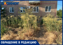 «Гниющую голову с плеч»: волжане о руководстве УК «Лада Дом»