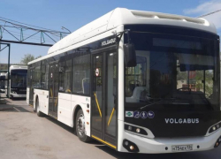 Новые автобусы с кондиционерами пустили по маршрутам в Волжском