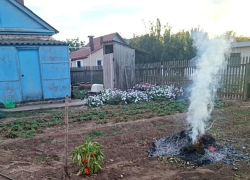 Волжанам напомнили о штрафах за костры и сжигание мусора